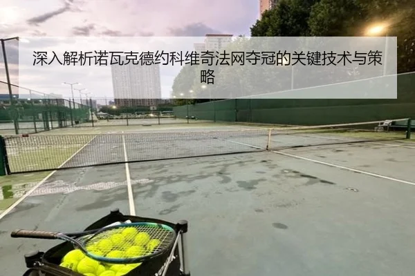 深入解析诺瓦克德约科维奇法网夺冠的关键技术与策略