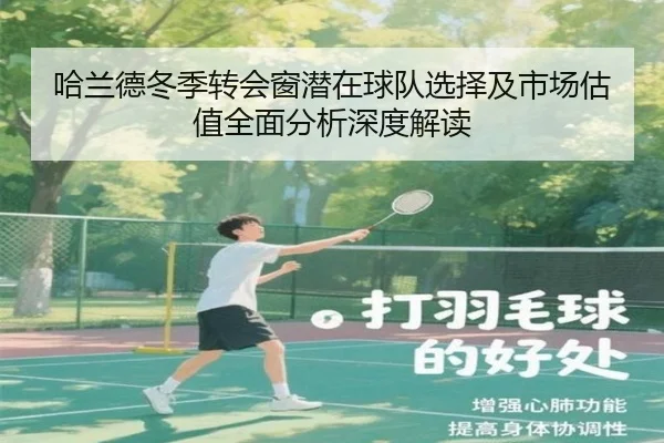 哈兰德冬季转会窗潜在球队选择及市场估值全面分析深度解读