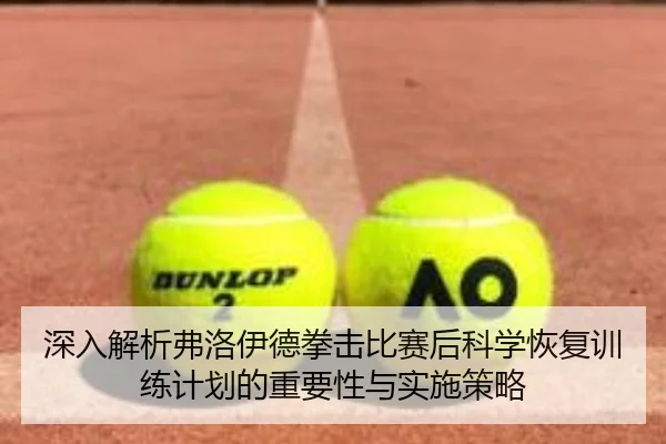 深入解析弗洛伊德拳击比赛后科学恢复训练计划的重要性与实施策略
