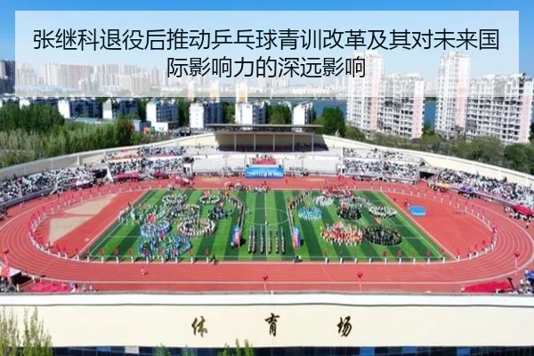 张继科退役后推动乒乓球青训改革及其对未来国际影响力的深远影响